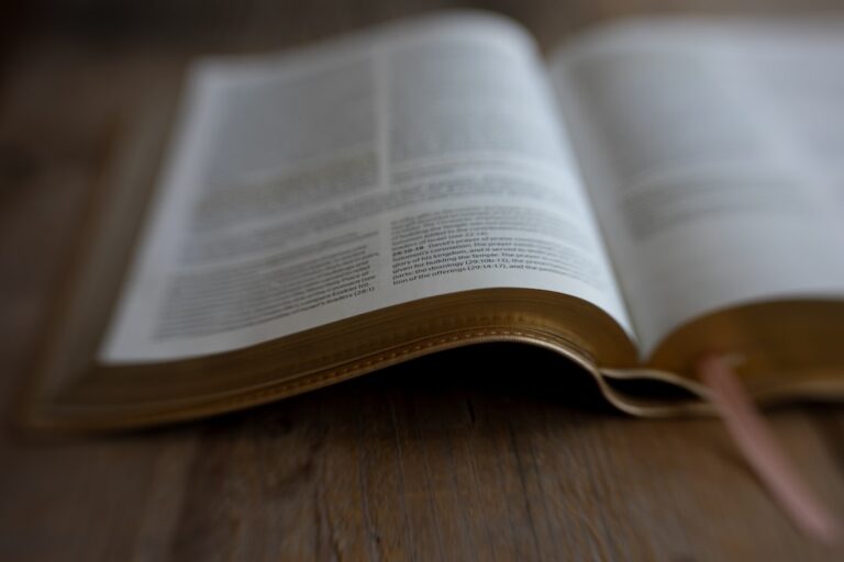 Nauka PJM od podstaw – poradnik dla samouków i rodzin