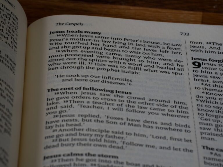 Poziomy A1 i A2 PJM – jak dopasować poziom nauki do własnych potrzeb?